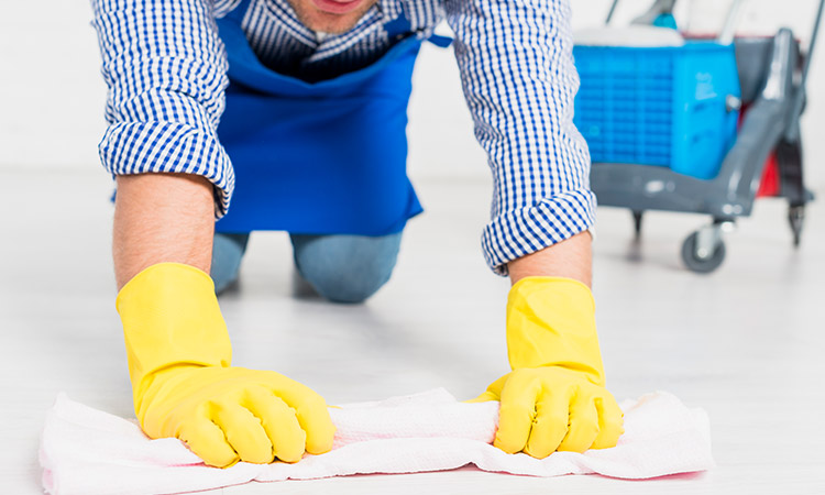 Antalya Döşemealtı Koltuk Yıkama ve Genel Temizlik Hizmetleri